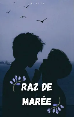 Raz de marรฉe