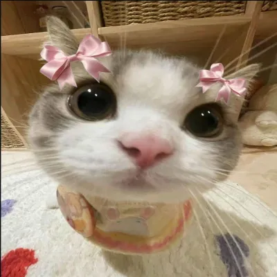 Lolita